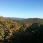 420 Renate Drive, Jasper, GA 30143 ID:10945773