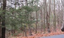 Lot 6 Vinton Road Holland, MA 01521