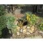 3440 Friendship Farm Drive, Buford, GA 30519 ID:10971197