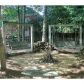 2975 Chardonnay Lane, Cumming, GA 30041 ID:10813513