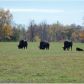 853 Ray Palmer Road, Cleveland, GA 30528 ID:10812892