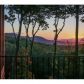7 The Hemlocks, Ellijay, GA 30536 ID:11234193