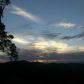 5946 Burnt Mountain Road, Ellijay, GA 30536 ID:11236624