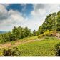 5962 Burnt Mountain Road, Ellijay, GA 30536 ID:11236703