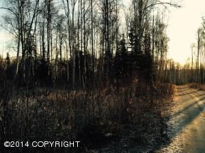 10801 W Bruce Way, Wasilla, AK 99654