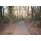 6630 Pleasant Drive, Winston, GA 30187 ID:11297717