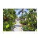 12880 MAPLE RD, Miami, FL 33181 ID:11275721