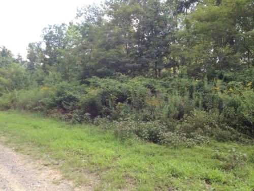 2.90 AC White Oak Road, Crawford, TN 38554