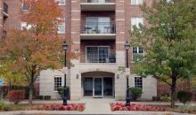 390 W. Mahogany Ct. Palatine, IL 60067