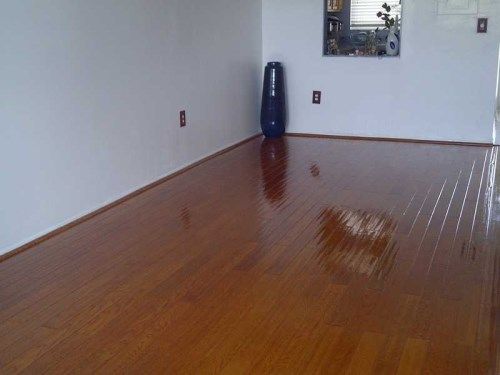 8300 SUNRISE LAKES BL # 207, Fort Lauderdale, FL 33322