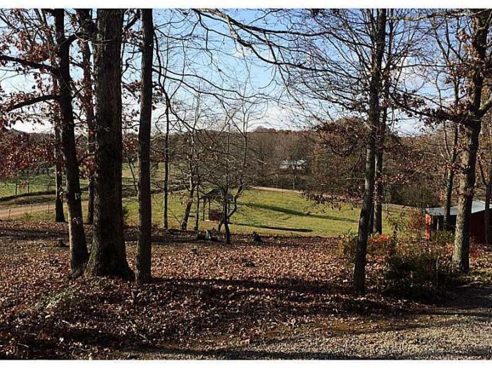 6919 Jones Mill Road, Clermont, GA 30527