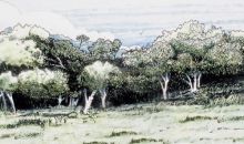 1209 E Bull Run Valley Heiskell, TN 37754