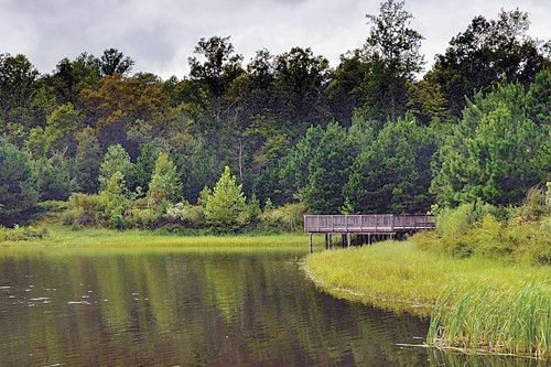 603 Marks Pond Way, Williamsburg, VA 23188