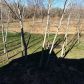 6338 Stonebridge Cove, Braselton, GA 30517 ID:11421404