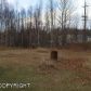 5401 E Alder Drive, Wasilla, AK 99654 ID:11207976
