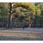 3308 Tom Brewer Road, Loganville, GA 30052 ID:11430581