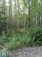 9952 W Denmar Avenue, Wasilla, AK 99654