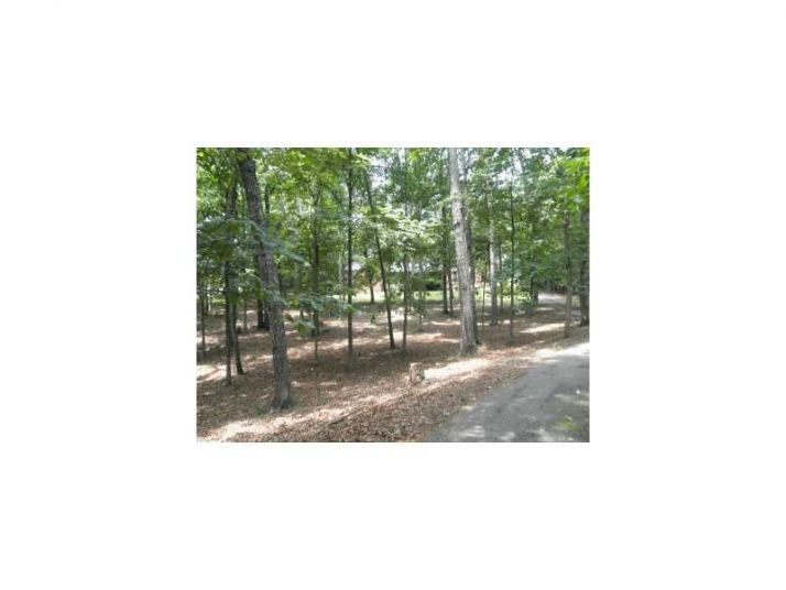 207 Hidden River Lane, Woodstock, GA 30188