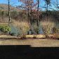 550 S Basin Drive, Jasper, GA 30143 ID:11440451