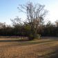 2388 Highway 88, Hephzibah, GA 30815 ID:11468025