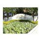 1880 S OCEAN DR # TS102, Hallandale, FL 33009 ID:11454075
