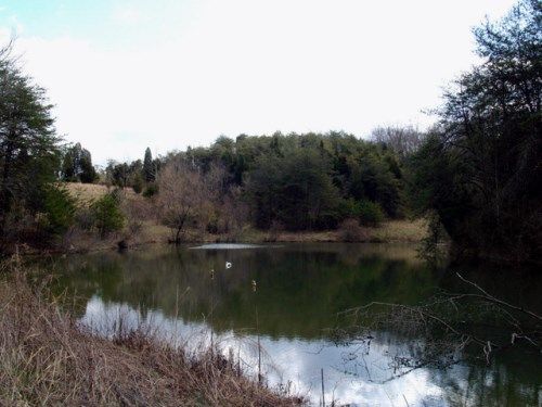 1440 A R Davis Rd, Seymour, TN 37865