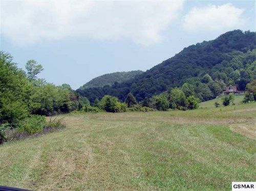 812 REAGAN SPRINGS RD, Seymour, TN 37865