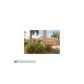 808 TULIP CIR, Fort Lauderdale, FL 33327 ID:10380535