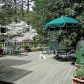 5446 Hidden Harbor Landing, Gainesville, GA 30504 ID:11501911