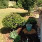 2165 Westford Cove, Cumming, GA 30041 ID:11260494