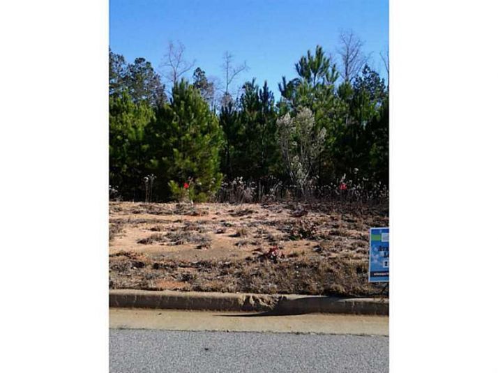 1133 Watercourse Way, Hampton, GA 30228