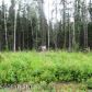 1391 W Woodpecker Circle, Wasilla, AK 99654 ID:11494340