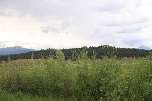 321 HWY 84, Pagosa Springs, CO 81147