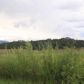 321 HWY 84, Pagosa Springs, CO 81147 ID:11564567