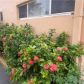 14864 NE 6 AV # 3C, Miami, FL 33161 ID:11535912