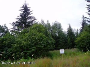L4 B2 Starboard Way, Homer, AK 99603