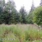 L4 B2 Starboard Way, Homer, AK 99603 ID:11582617