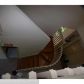 1081 SEQUOIA LN, Fort Lauderdale, FL 33327 ID:10871138
