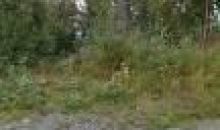 1300 N Pioneer Peak Drive Wasilla, AK 99654