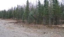 843 N Irish Setter Circle Wasilla, AK 99654