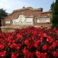 2445 Red Wine Oak Drive, Braselton, GA 30517 ID:11531199