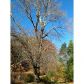 230 Paul Weaver, Dahlonega, GA 30533 ID:11655367