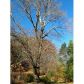 230 Paul Weaver, Dahlonega, GA 30533 ID:11655666