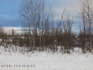 13796 W Moonrise Drive, Big Lake, AK 99652