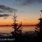 16123 Essex Park Drive, Anchorage, AK 99516 ID:11632014