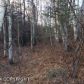 6581 E Robinson, Wasilla, AK 99654 ID:11298729