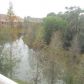 7348 Black Walnut Way 4704, Bradenton, FL 34202 ID:11705302