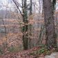 4201 Blackland Drive, Marietta, GA 30067 ID:11704275