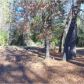 17164 Nile River Drive, Sonora, CA 95370 ID:11703420