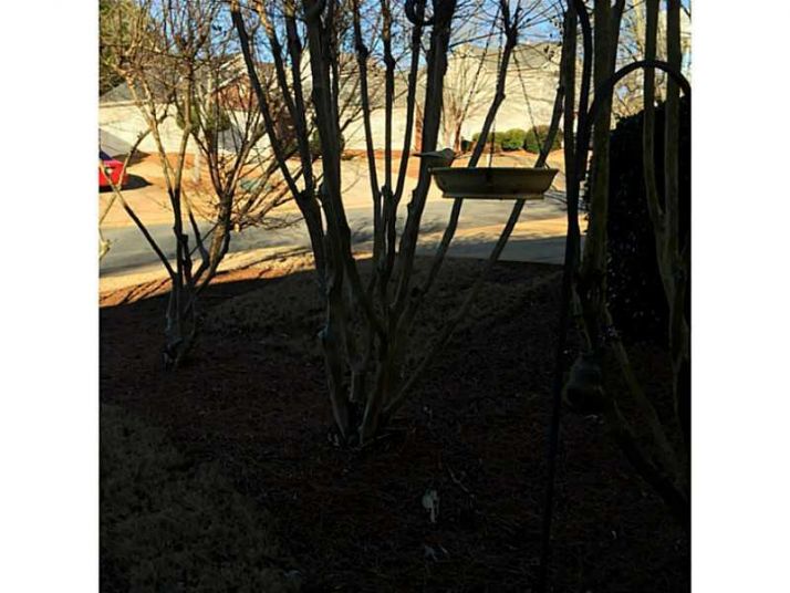 1111 Britley Park Lane, Woodstock, GA 30189